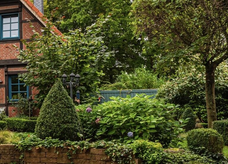 4449AFE2 B5D3 44D8 B239 9D405AD1A700 1 201 a