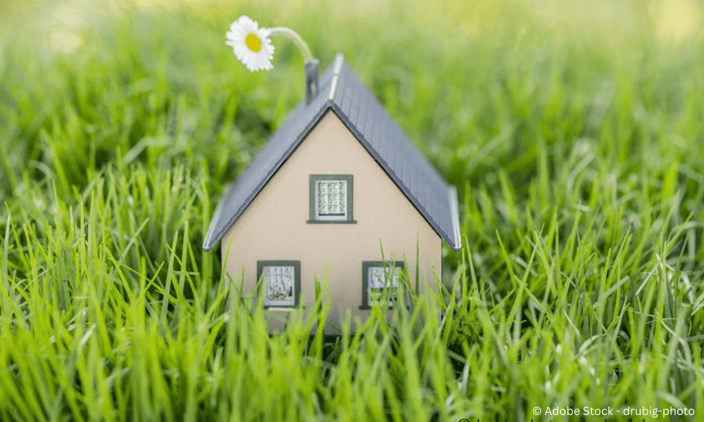 Suhling Immobilien Haus im Gras