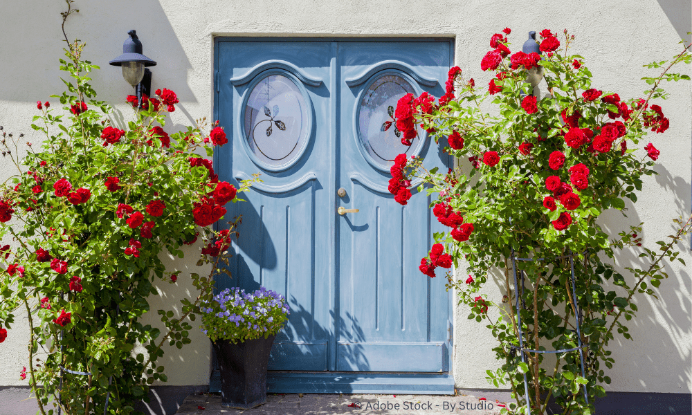 Suhling Immobilien Haustuer