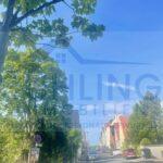 Suhling Cuxhaven Doese